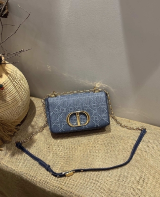 Embroidered Mini Designer Purses Dior Caro Denim Small